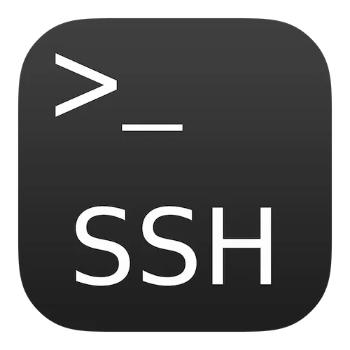 srv/ssh